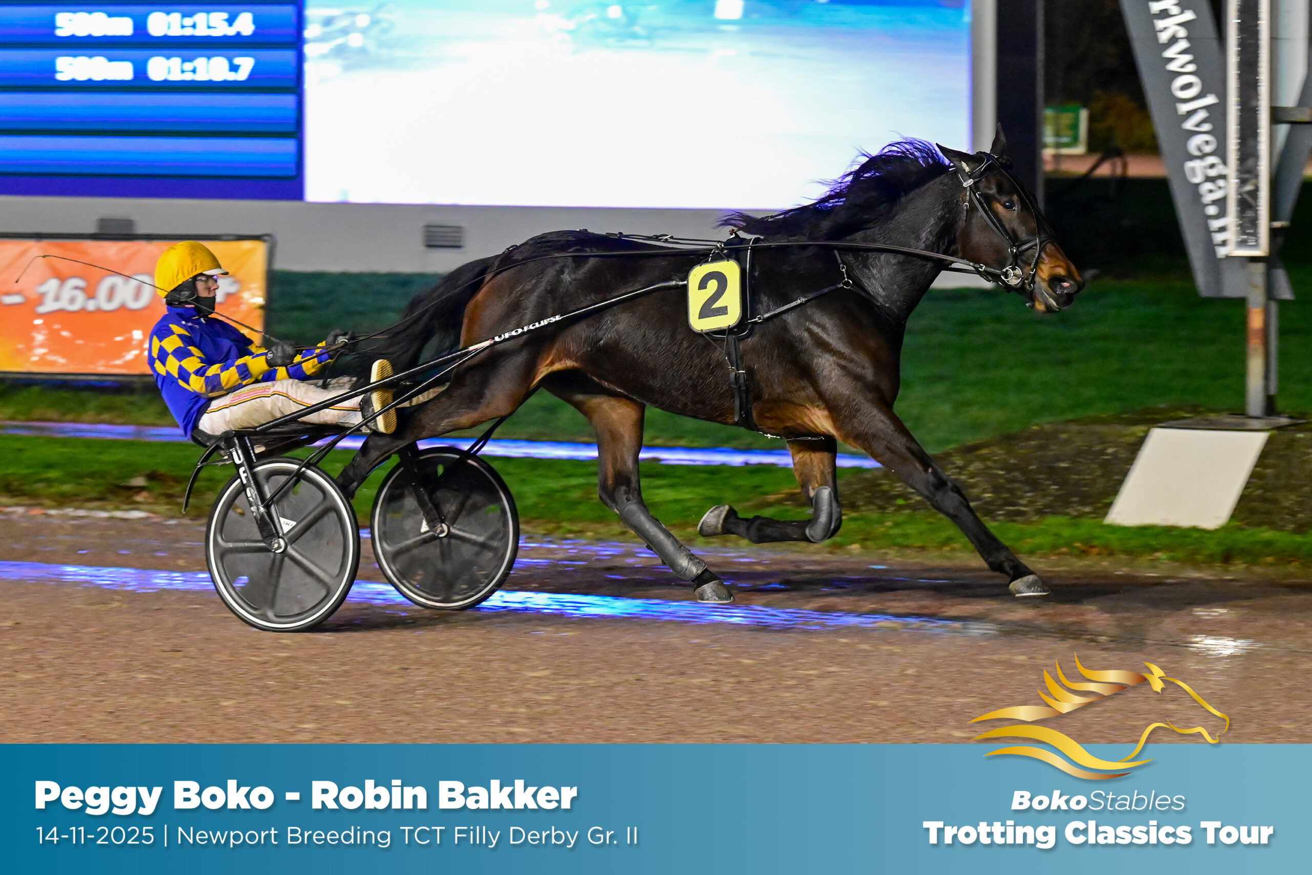 14-11-2025-wolvega-4